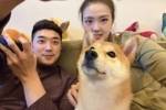 吴冠希妻子张常宁发博晒夫妻二人合照：五月顺利